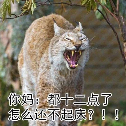 你妈：都十二点了，怎么还不起床？！！！