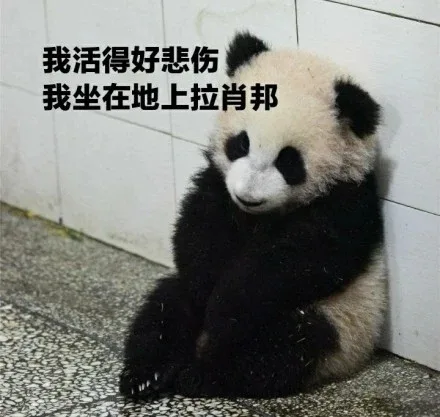 我活得好悲伤 我坐在地上拉肖邦（我活得好悲伤 我坐在地上拉肖邦）