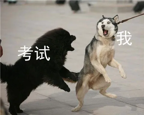 考试把我安排得明明白白