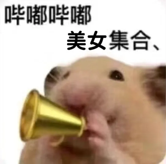 哔嘟哔嘟美女集合、(鼠鼠表情包)（哔嘟哔嘟美女集合、(鼠鼠表情包)）