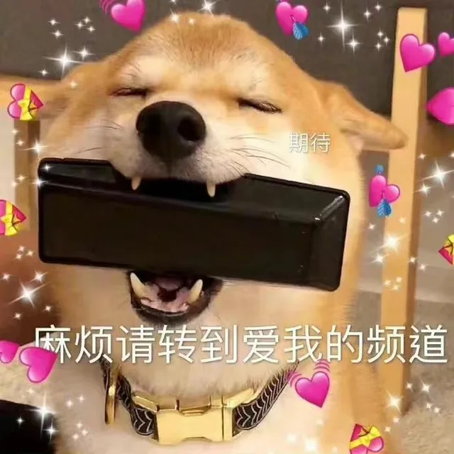 期待麻烦请转到爱我的频道（期待麻烦请转到爱我的频道）