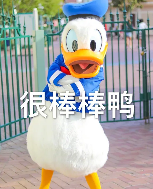 很棒棒鸭（很棒棒鸭）