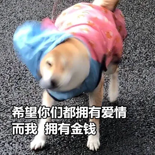 希望你们都拥有爱情，而我 拥有金钱（希望你们都拥有爱情，而我 拥有金钱）