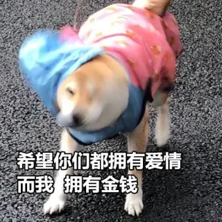 希望你们都拥有爱情，而我 拥有金钱