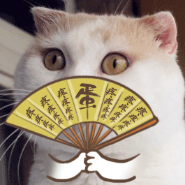 喵咪眨眼