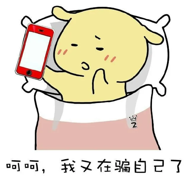 呵呵,我又在骗自己了