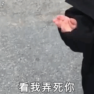 看我弄死你