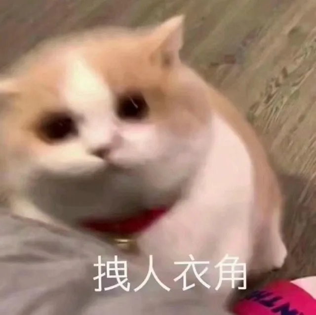拽人衣角（拽人衣角）