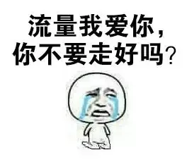 流量我爱你，你不要走好吗？（流量我爱你，你不要走好吗？）