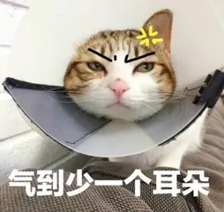 到少一个耳朵