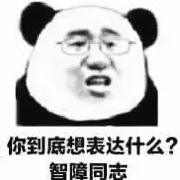 你到底想表达什么？智障同志