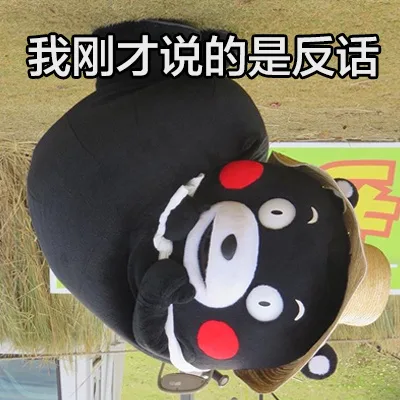 我刚才说的是反话