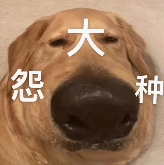 狗狗大怨种