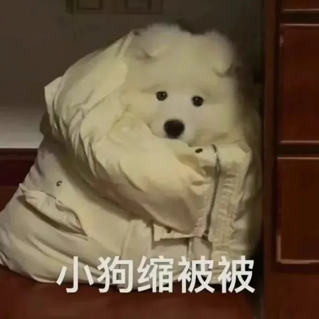 小狗缩被被（小狗缩被被）