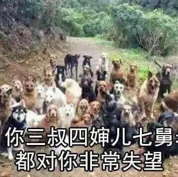 你三叔四婶儿七舅都对你非常失望（你三叔四婶儿七舅都对你非常失望）