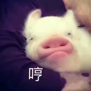哼，我生气了