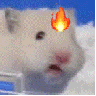 鼠鼠发火 GIF 动图表情包（鼠鼠发火 GIF 动图表情包）
