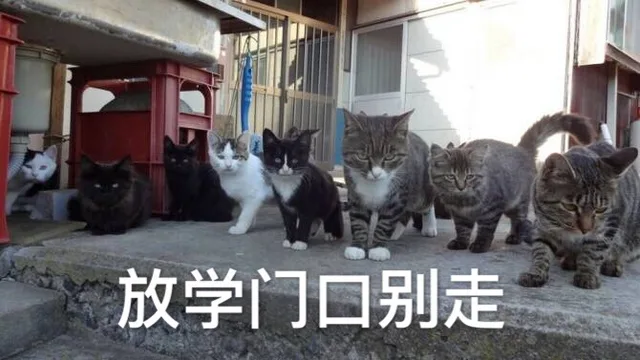 放学门口别走