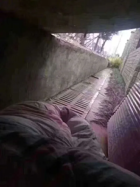 睡天桥下（睡天桥下）