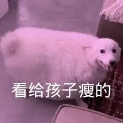 看给孩子瘦的（看给孩子瘦的）