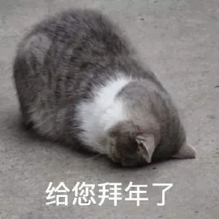 给您拜年了