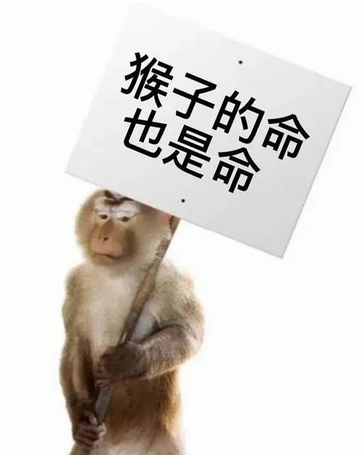 猴子的命也是命