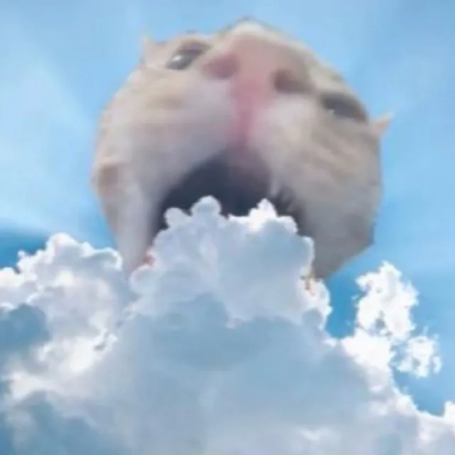 猫猫头演我精神状态