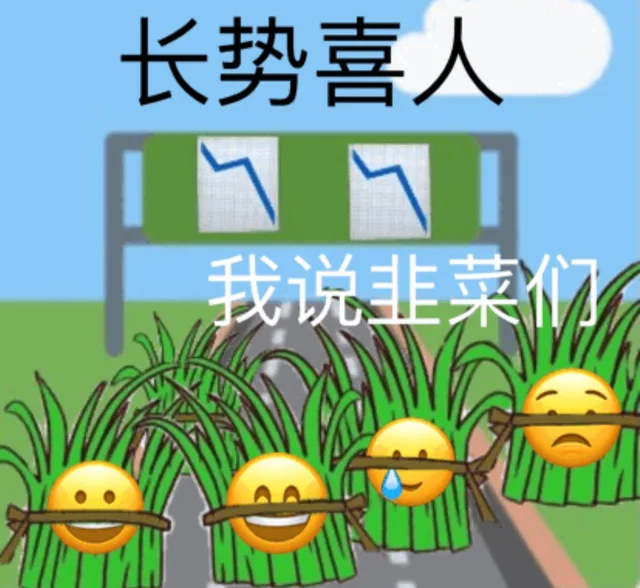 长势喜人我说韭菜AA