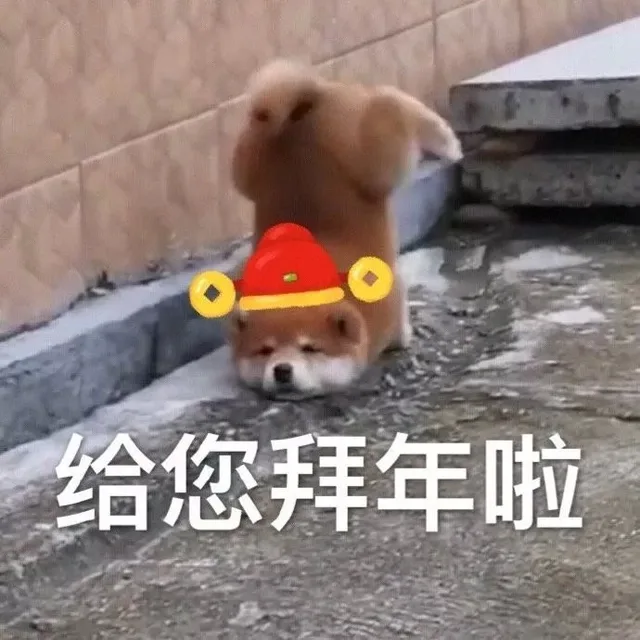 给您拜年啦