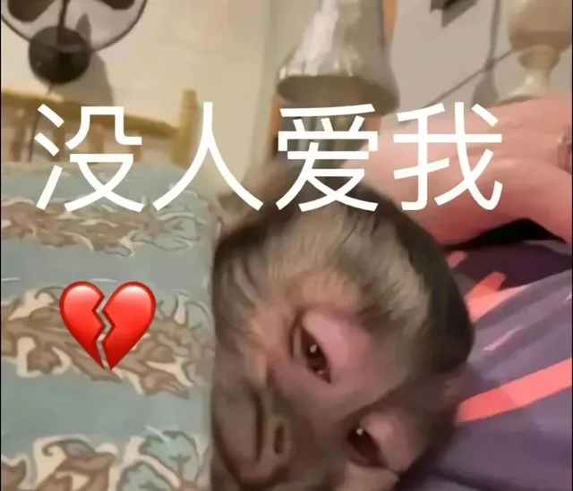 没人爱我（没人爱我）