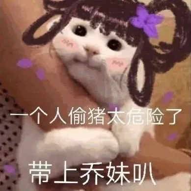 一个人偷猪太危险了带上乔妹叭（一个人偷猪太危险了带上乔妹叭）