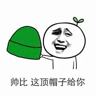 帅比，这顶帽子送你_绿帽子表情包