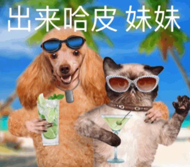 出来哈皮 妹妹（出来哈皮 妹妹）