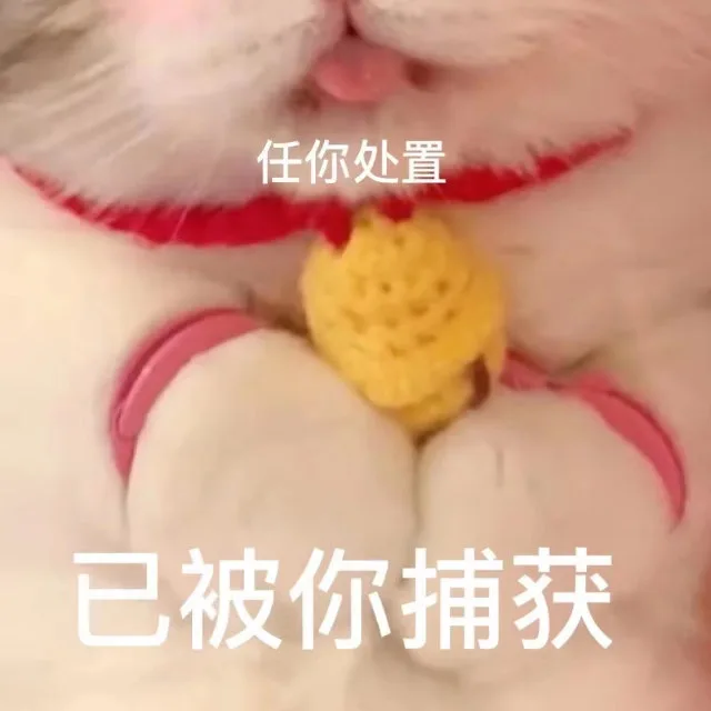 任你处置已被你捕获（任你处置已被你捕获）