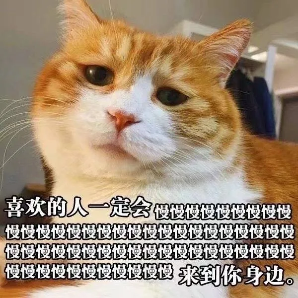 喜欢的人一定会慢慢慢慢来到你身边（喜欢的人一定会慢慢慢慢来到你身边）