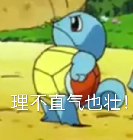 理不直气也壮（杰尼龟）