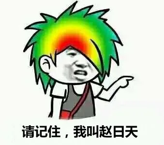 请记住，我叫赵日天（请记住，我叫赵日天）