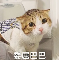 委屈巴巴
