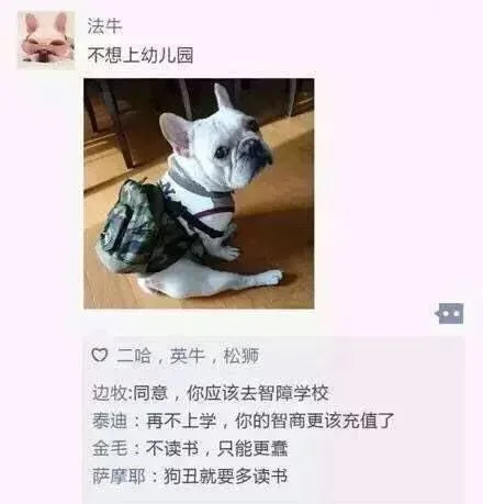 法牛：不想上幼儿园（法牛：不想上幼儿园）