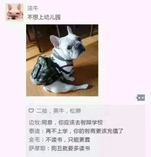 法牛：不想上幼儿园