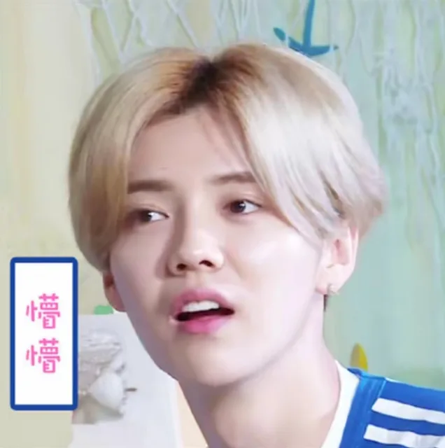 懵懵