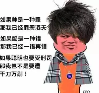 如果帅是一种罪 那我已经罪恶滔天 如果酷是一种错 那我已经一错再错 如果聪明也要受惩罚 那我岂不是要遭千刀万剐！