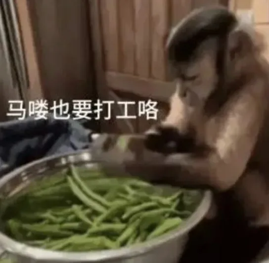 马喽也要打工咯（马喽也要打工咯）