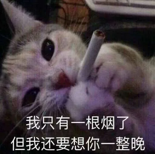 我只有一根烟了但我还要想你一整晚（我只有一根烟了但我还要想你一整晚）