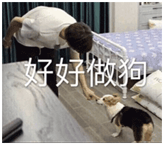 好好做狗