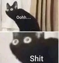 Oohh....Shit(黑猫表情包)（Oohh....Shit(黑猫表情包)）