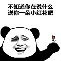 不知道你再说什么 送你一朵小红花吧