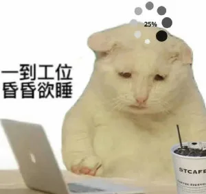 25%一到工位昏昏欲睡STCAF(猫猫表情包)（25%一到工位昏昏欲睡STCAF(猫猫表情包)）