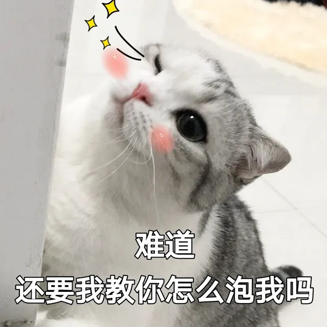 难道还要我教你怎么泡我吗