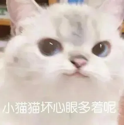 小猫猫坏心眼多着呢（小猫猫坏心眼多着呢）
